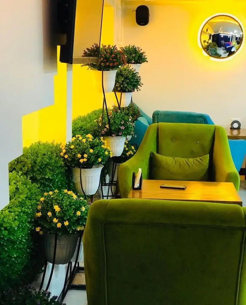 کافه برلین: دکوراسیون داخلی چشم‌نواز با صندلی‌های مخملی سبز، میز چوبی، دیوار زرد روشن و گلدان‌های گل و گیاه سرسبز برای فضایی دنج و دلپذیر.