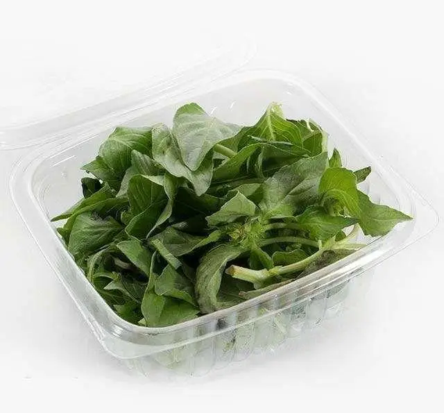 سبزی خوردن تازه و خوش‌عطر رستوران وزیری: ریحان باکیفیت و دستچین شده برای همراهی غذای اصیل ایرانی شما.