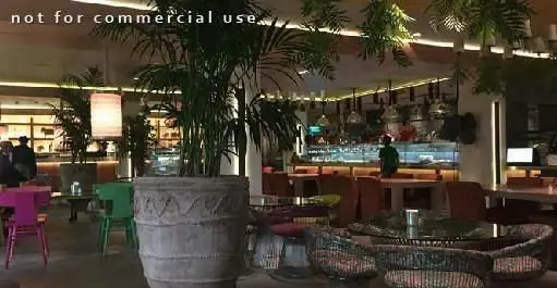 فضای داخلی مدرن و دلپذیر رستوران کوبابا، با دکوراسیون شیک، مبلمان متنوع و راحت، پیشخوان سرو و گیاهان زینتی زیبا.