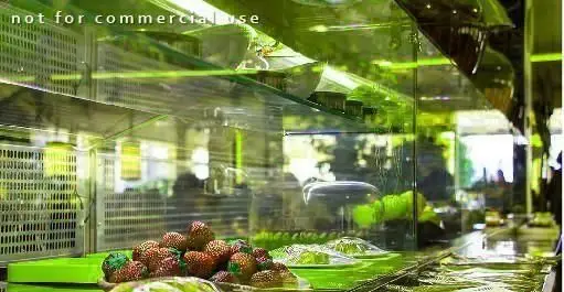 نمایی از دسرها و توت فرنگی‌های تازه در پیشخوان رستوران کوبابا، با طراحی مدرن و دلنشین، آماده سرو به مشتریان.