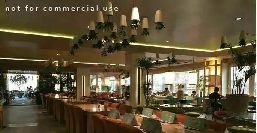 نمای کلی از فضای داخلی دلنشین و شیک رستوران کوبابا، با طراحی مدرن، نورپردازی خاص و مشتریانی که در حال صرف غذا هستند.