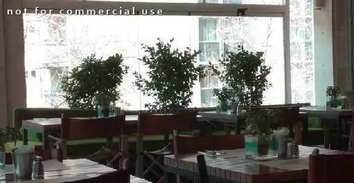 نمای داخلی دنج و زیبای رستوران کوبابا با دکوراسیون گیاهی، میزهای چوبی و نورگیر طبیعی از پنجره‌های بزرگ.