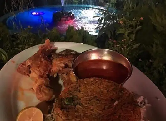 شام لذیذ در رستوران ایرانی گل یخ: ماهی سرخ شده و سبزی پلو در فضای دلنشین باغ با فواره نورانی در شب.