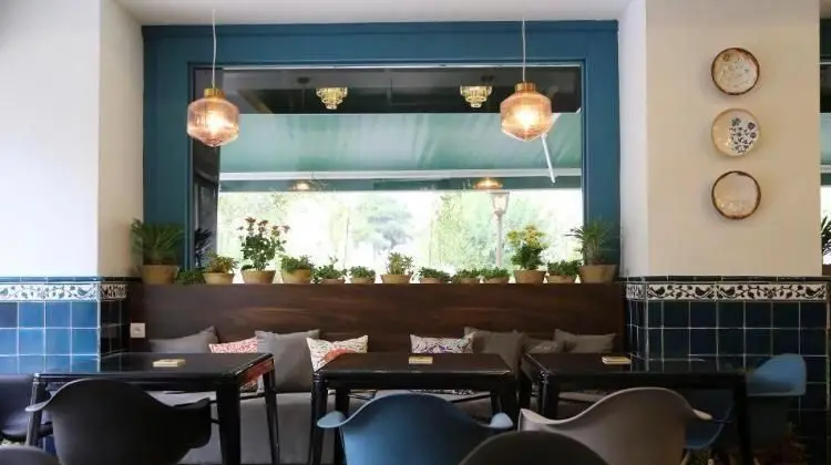 دکوراسیون داخلی دنج کافی شاپ ایل با پنجره بزرگ رو به فضای سبز. میز و صندلی‌های شیک، گیاهان تزیینی، نورپردازی گرم و کاشی‌کاری زیبا فضایی دلنشین برای مشتریان.