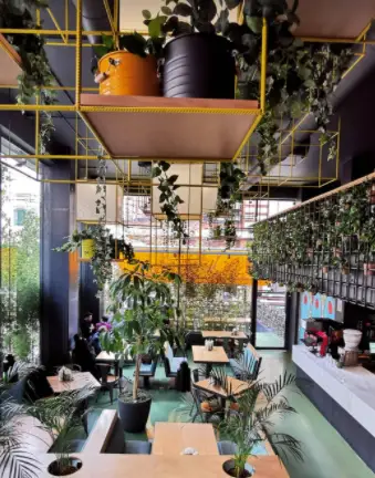 فضای داخلی جذاب و سبز رستوران دونر گاردن با دکوراسیون مدرن، گیاهان طبیعی فراوان، سقف بلند و نورگیر. محیطی آرام و دلنشین برای مشتریان.