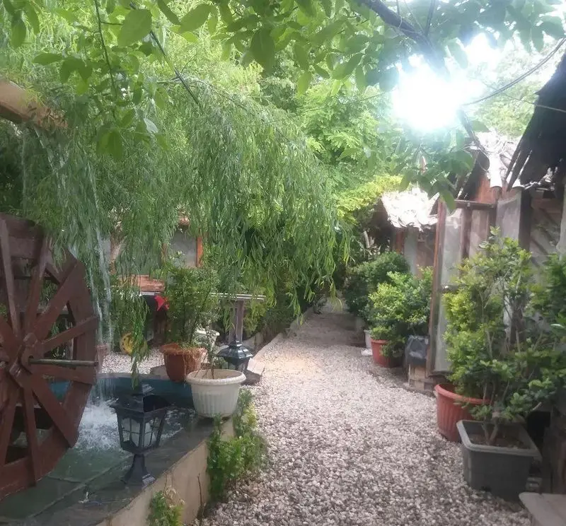 مسیر سنگی سرسبز باغچه رستوران دیپلمات با چرخ آب چوبی، گیاهان متنوع و درختان بید آویزان، فضایی دلنشین و آرامش‌بخش.