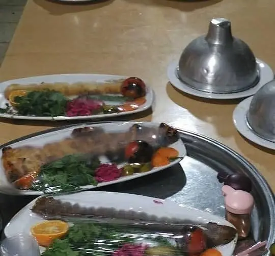 نمایی از چندین پرس کباب و غذای ایرانی تازه و لذیذ در باغچه رستوران دیپلمات، همراه با سالاد و مخلفات رنگارنگ، آماده برای تجربه طعمی به یاد ماندنی.