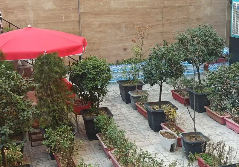 نمایی از فضای باز و سرسبز رستوران ایرانی اصل جوان با چتر قرمز، درختچه‌ها و گلدان‌های تزئینی، محیطی ایده‌آل برای پذیرایی.