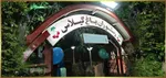 تصویر پروفایل رستوران ایرانی باغ گیلاس