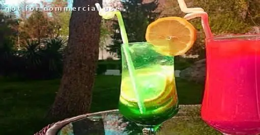 نوشیدنی‌های کوکتل خنک و میوه‌ای در فضای سرسبز و دلنشین رستوران ایتالیایی هیت، انتخابی عالی برای روزهای گرم تابستان و تجربه طعم‌های جدید.