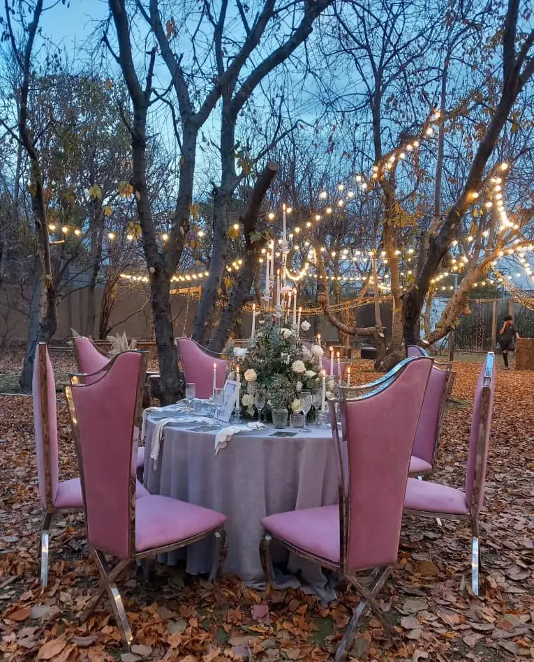 دیزاین بی‌نظیر میز و صندلی مخملی صورتی لوکس و ظروف کرایه‌ای شیک برای مهمانی در باغ توسط ظروف کرایه بلادی.