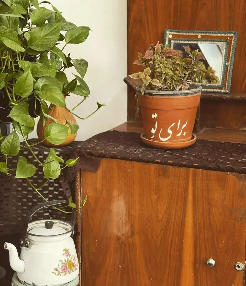 کافه دلواز: فضایی دنج و گرم با کتری گلدار قدیمی، گلدان "برای تو" و گیاهان سبز. حس نوستالژیک و آرامش‌بخش برای مشتریان.