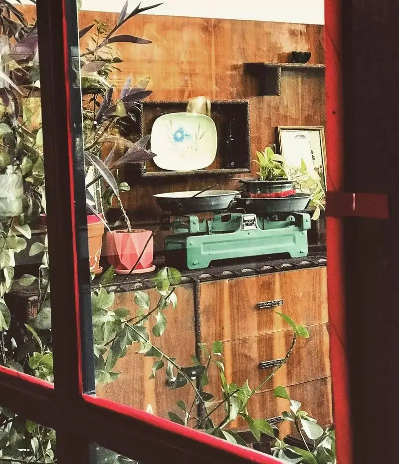 دکوراسیون داخلی کافه دلواز: دیوار چوبی، قفسه با بشقاب طرح‌دار، گلدان‌ها، ترازوی قدیمی سبز. فضایی گرم و دلنشین.