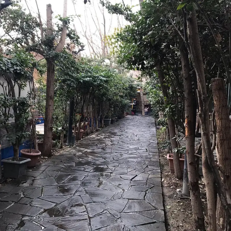 تصویر مسیر سنگی سرسبز و زیبای رستوران جربزه با درختان و گیاهان گلدانی در دو طرف، محیطی آرام و دلپذیر را به نمایش می‌گذارد.