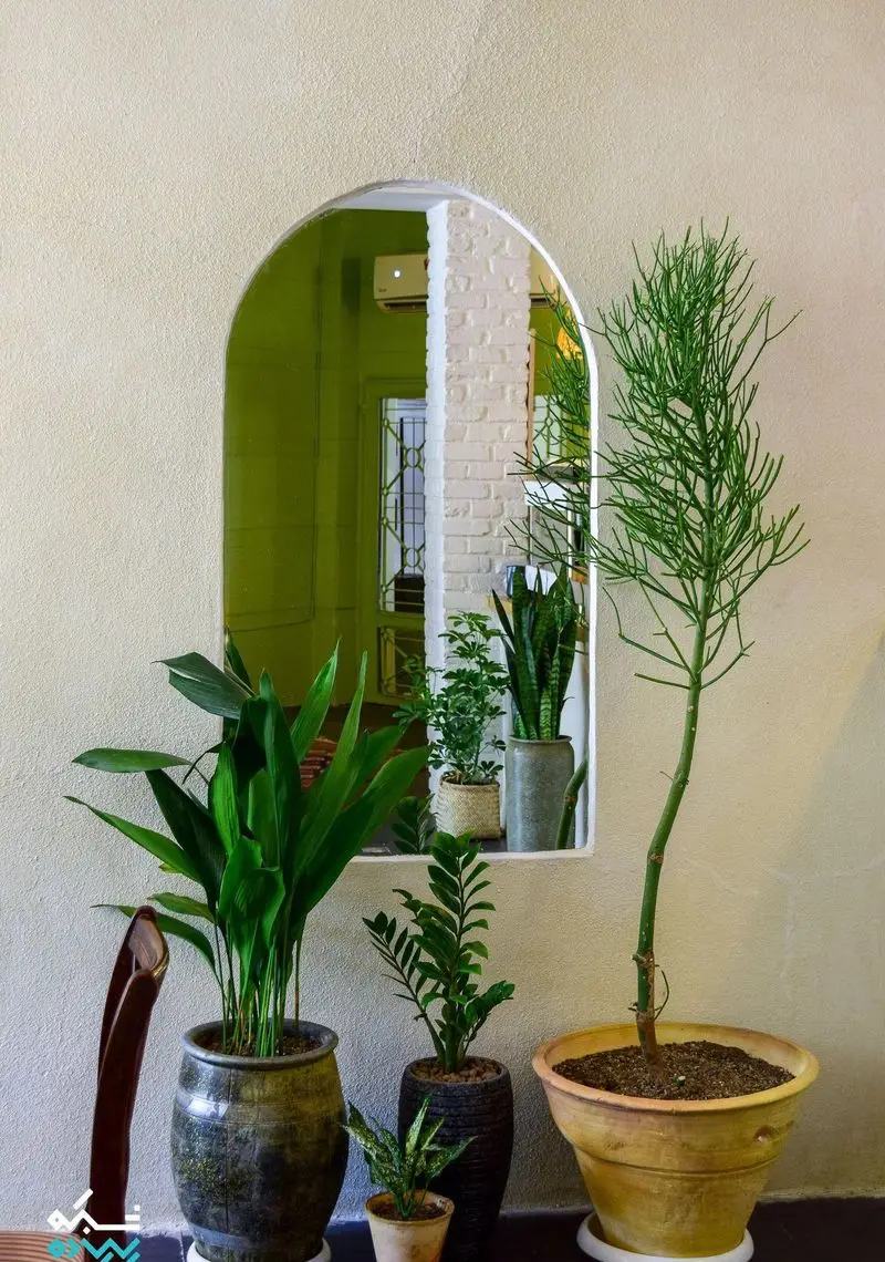 کافه الوا: دکوراسیون داخلی دلنشین با آینه قوسی، دیوار آجری سفید و مجموعه ای از گیاهان آپارتمانی سبز و زیبا.