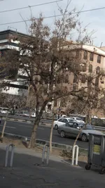 تصویر پروفایل فست فود آلپارو 