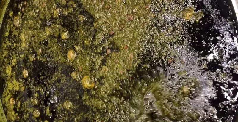 تصویری نزدیک از خورشتی خوش‌رنگ و لعاب با سبزیجات تازه و دانه‌های معطر در حال پخت برای مشتریان رستوران تأیید