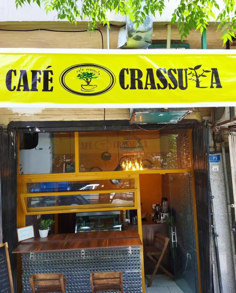 نمای بیرونی کافه و کافی شاپ کراسولا با تابلوی زرد، لوگوی گیاه در فنجان، پیشخوان چوبی و دکوراسیون گرم و دلنشین.
