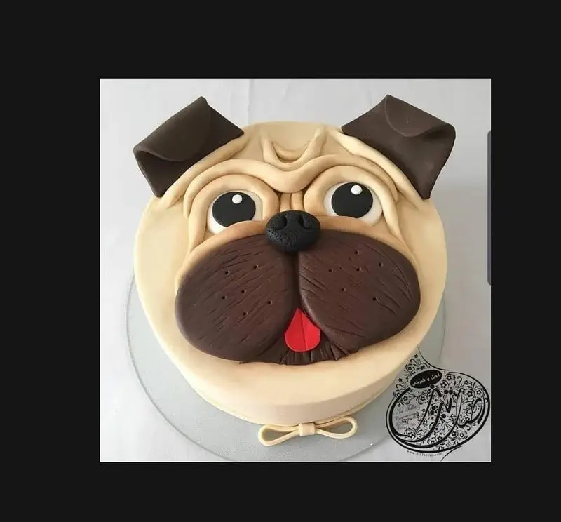 کیک فوندانت صورت سگ پاگ زیبا و خوشمزه از قنادی اصل تبریز، مناسب جشن تولد و کودکان با طرح حیوانات خانگی.