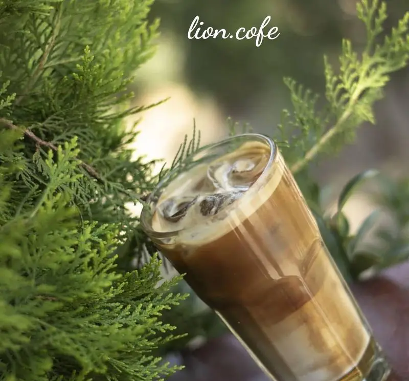 قهوه سرد (آیس لاته) دلپذیر لیون کافه در لیوانی بلند، همراه با یخ و لایه‌های شیر و قهوه، در کنار برگ‌های سبز کاج، تصویری شاداب و طبیعی.