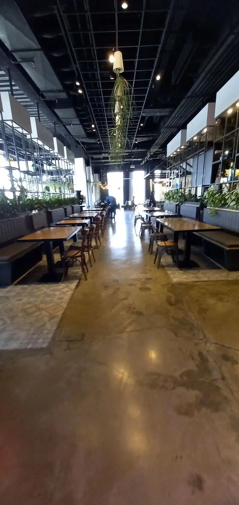 نمای داخلی رستوران مايا تِكس مِكس: فضایی دلباز با طراحی مدرن صنعتی، میز و صندلی‌های شیک، گیاهان آویز، و نورپردازی جذاب برای تجربه‌ای خاص.