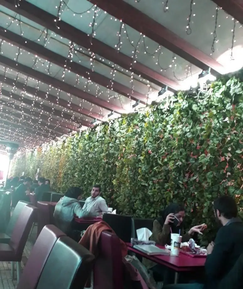 محیط دنج فست فود شنتی، مزین به دیوار سبز، سقف چوبی با نورهای آویز و مشتریانی که از غذا لذت می‌برند.