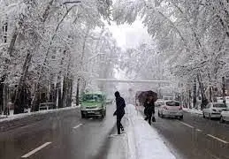 خیابان ولیعصر تهران پوشیده از برف در زمستان، با درختان سفیدپوش و تردد خودروها و عابران پیاده، نمادی از زیبایی شهری و کسب و کار پررونق.