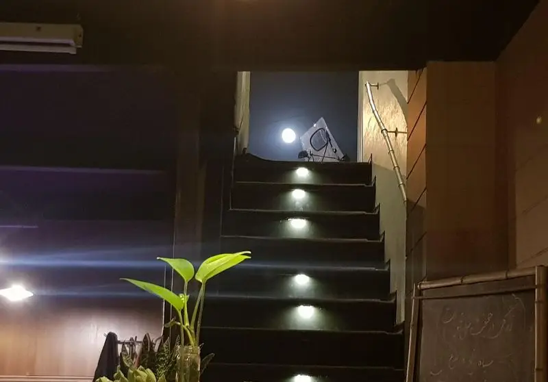 نمایی از فضای داخلی کافه ژیکو: پله‌های چوبی با نورپردازی مخفی، گلدان سبز در پیش‌زمینه، و نور ماه در بالای پله‌ها.