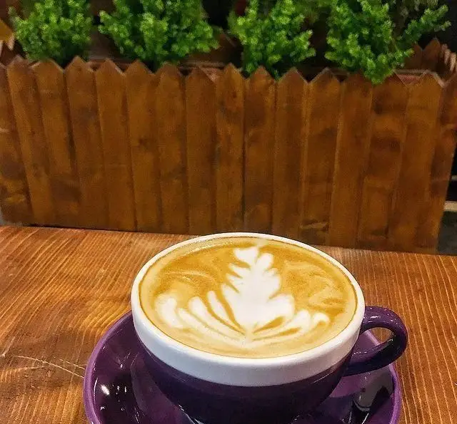 فنجان قهوه لاته با لاته آرت زیبا، روی میز چوبی کافه رستوران لومیر. محیطی دلنشین با گلدان چوبی و گیاهان سبز برای لحظات آرامش‌بخش.