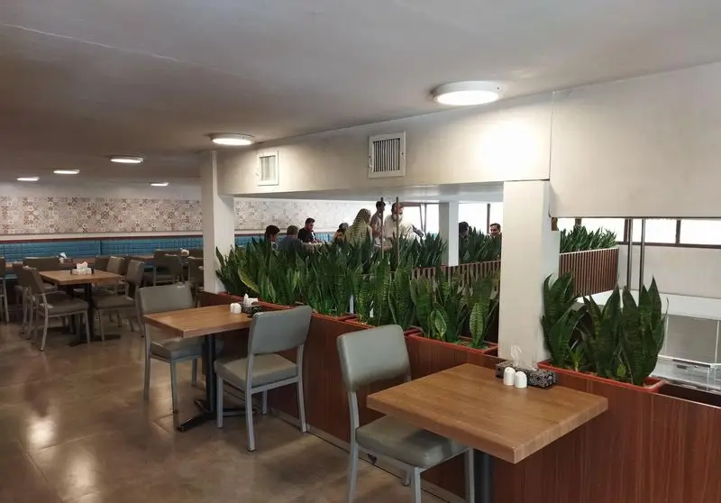 فضای داخلی دنج رستوران برادران با میز و صندلی‌های چوبی مدرن، گلدان‌های طبیعی و سرسبز، دیوارهای طرح‌دار و مشتریان در حال صرف غذا.