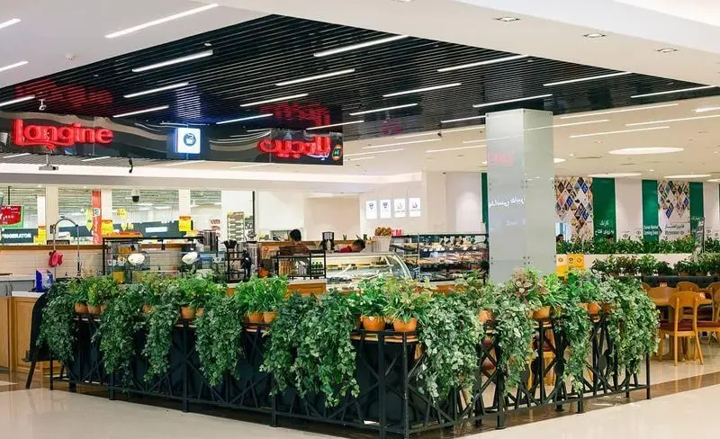 فضای داخلی مدرن کافه و رستوران لانجین با دکوراسیون سبز، گیاهان آویز، کانتر سرویس دهی غذا و میز و صندلی‌های شیک چوبی.