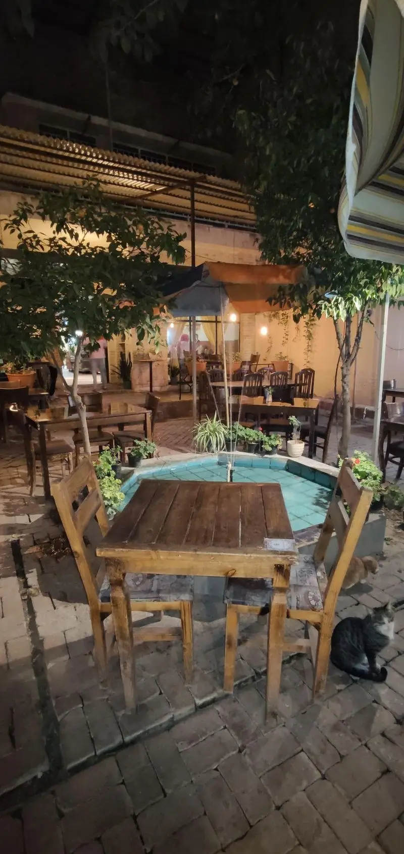 فضای بیرونی شبانه کافه حوض کاشی با میز و صندلی چوبی، حوض فیروزه‌ای، درختان، گلدان‌ها و گربه‌های دوست‌داشتنی در حیاط آجری.