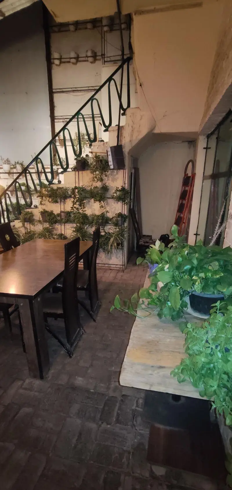 فضای داخلی دنج و سبز کافه حوض کاشی با پلکان زیبای پر از گل و گیاه، میز ناهارخوری چوبی و دکوراسیون گرم و دلنشین.