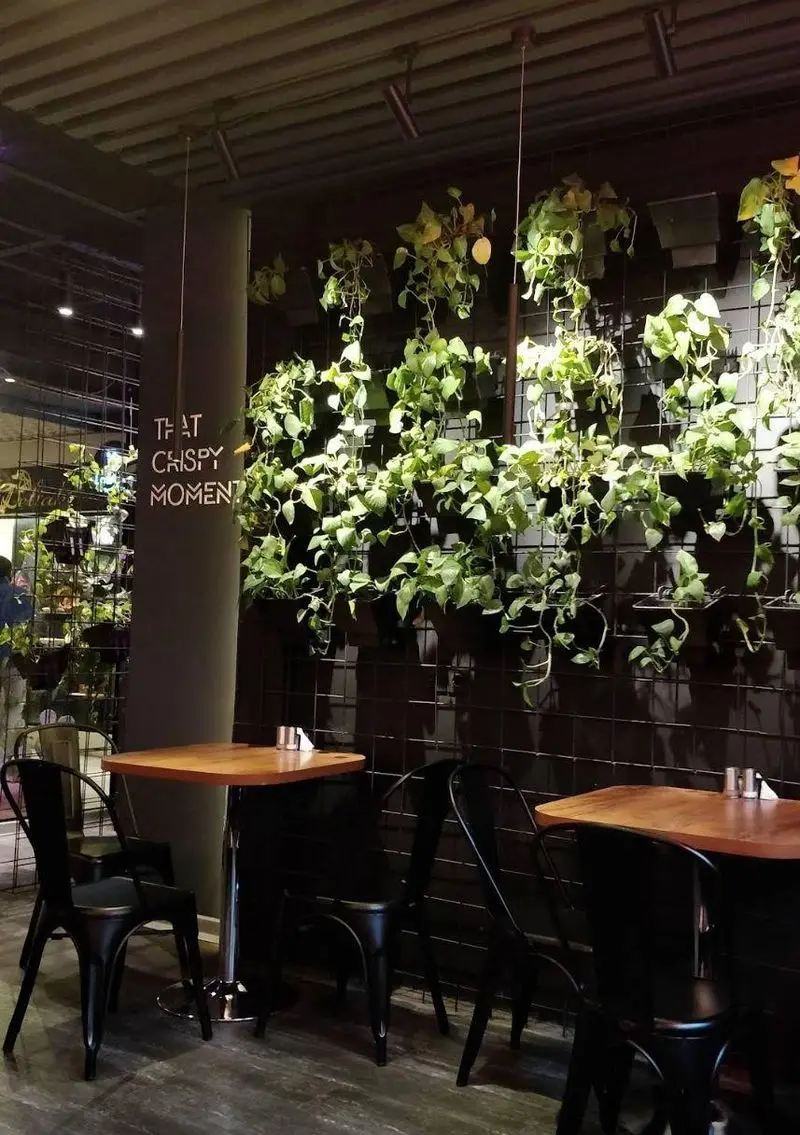 کافه رستوران لوکی: دکوراسیون داخلی مدرن با دیوار سبز زیبا، میزهای چوبی و صندلی‌های شیک، فضایی دلپذیر برای لذت بردن از لحظات شما