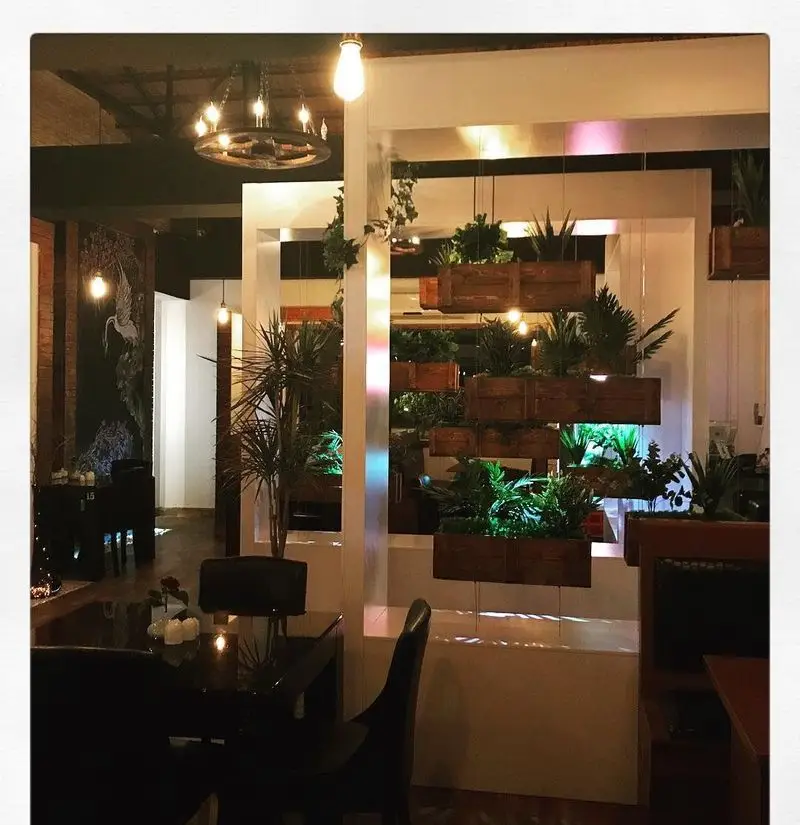 فضای داخلی دنج و مدرن رستوران لک لک با دکوراسیون سبز، گیاهان آویز، لوستر چشم‌نواز و نقاشی دیواری زیبا. مناسب برای تهیه غذای لک لک.