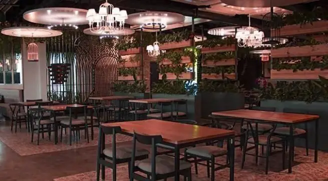 فضای داخلی لوکس و مدرن رستوران ایتالیایی بونو، شامل میز و صندلی‌های شیک چوبی، نورپردازی منحصر به فرد و دیوارهای پوشیده از گیاهان.