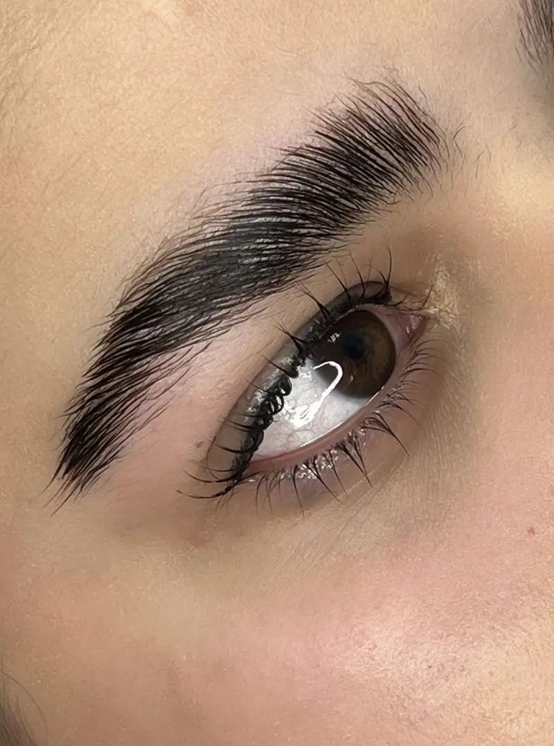 عکس نزدیک از لیفت و لمینت ابروهای پرپشت و مرتب به همراه کاشت مژه طبیعی و بلند در سالن تخصصی زیبایی و آرایش چشم