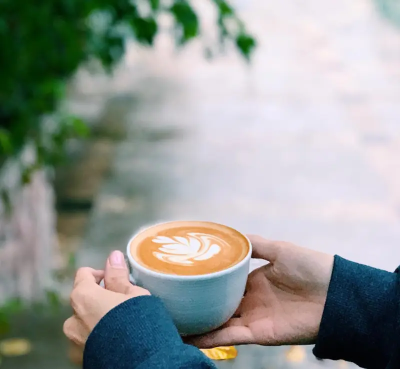 یک فنجان لاته داغ با طرح برگ روی کف شیر، در دستان مشتری. تجربه‌ای دلنشین از قهوه‌های باکیفیت در کافه سینان.