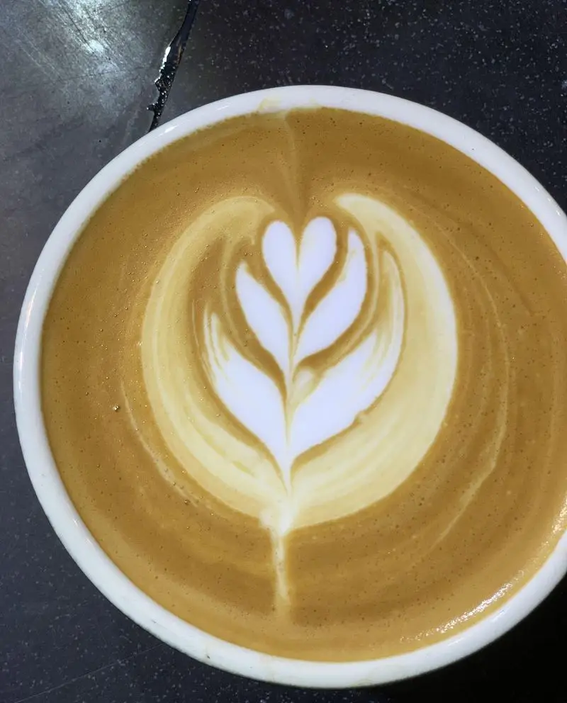 کافه تی وانا: لاته آرت دلنشین با طرح برگ و قلب در فنجان قهوه، تجربه‌ای خاص و زیبا برای دوستداران نوشیدنی‌های گرم و عالی.
