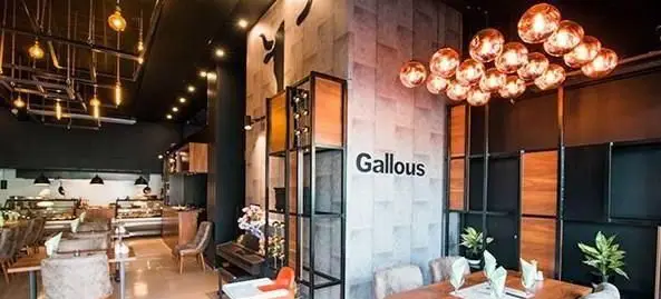 فضای داخلی مدرن و شیک رستوران فرنگی قالوس، با دکوراسیونی جذاب، میز و صندلی های راحت و نورپردازی خاص برای تجربه ای دلنشین.