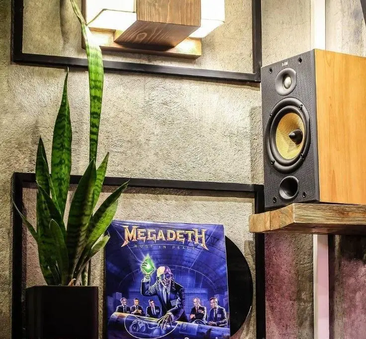 تصویری از دکوراسیون داخلی گات کافه با اسپیکر B&W، آلبوم وینیل مگادث و گلدان گیاه، فضایی آرامش‌بخش برای لذت از موسیقی