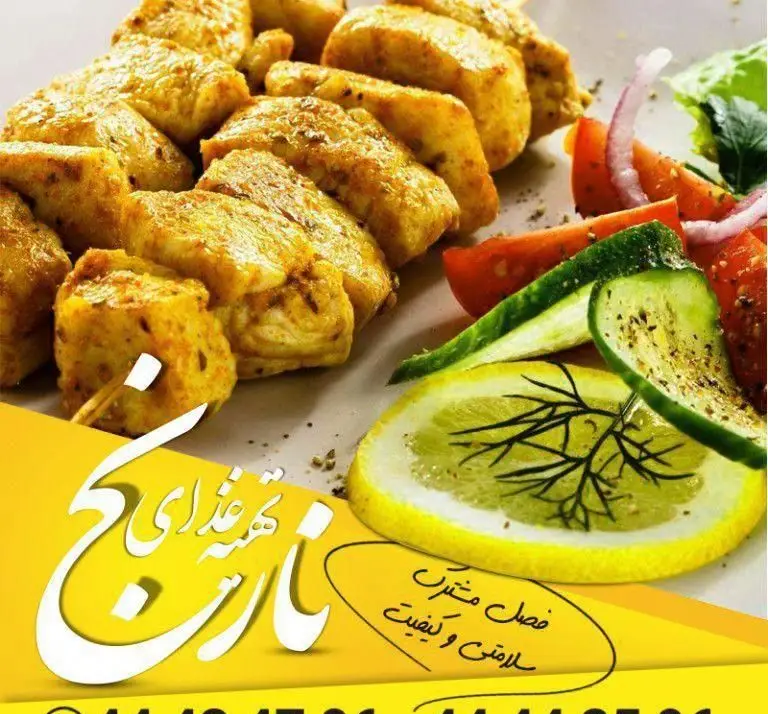 غذای لذیذ جوجه کباب به همراه سالاد تازه و لیمو، آماده شده در تهیه غذای نارنج؛ ارائه دهنده غذای سالم و باکیفیت.