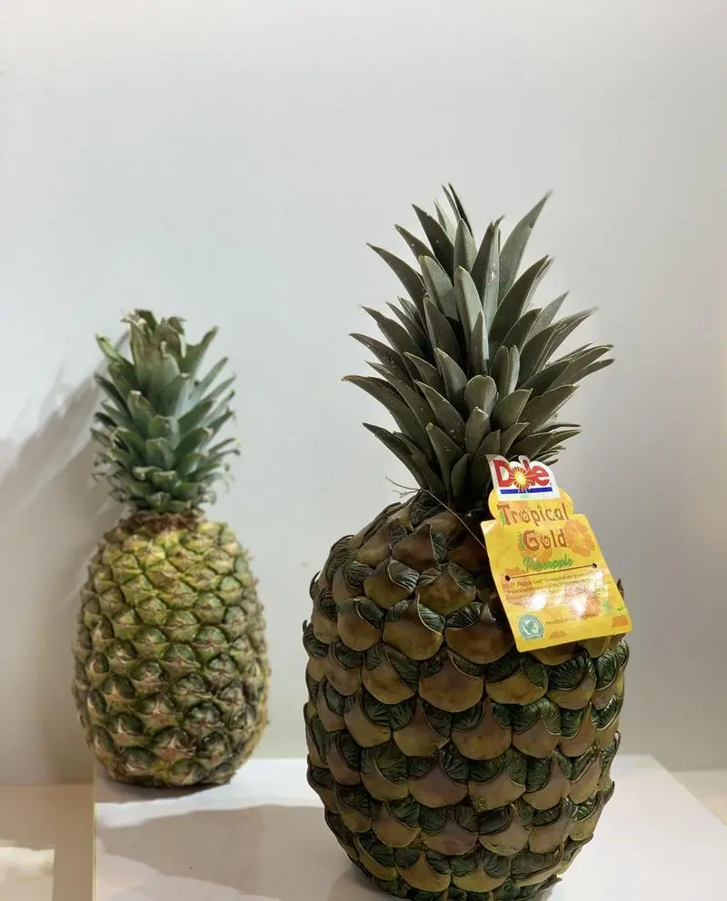 دو آناناس استوایی زیبا، ایده ای الهام بخش برای طراحی کیک های میوه ای و خاص کیک جواد خدادادی تبریز در تبریز.