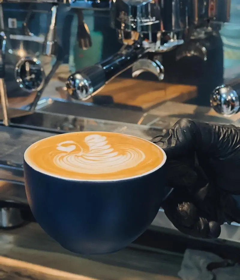 لذت یک فنجان قهوه لاته آرت هنرمندانه در کافه رستوران گجا. طرح زیبای قو، آماده شده با عشق و دقت توسط باریستا.