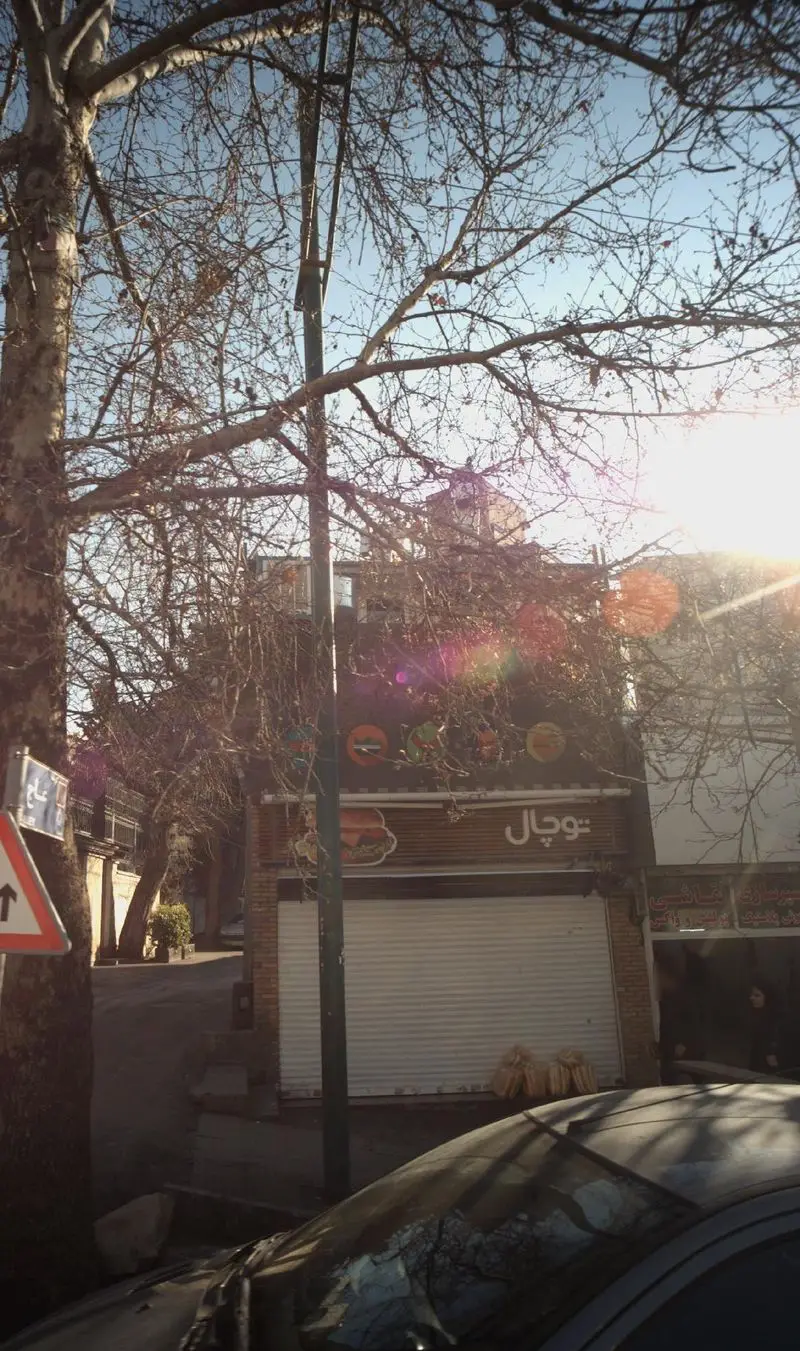 تصویر نمای بیرونی مغازه آب میوه طبیعی توچال در خیابانی در تهران، با کرکره بسته، شاخه‌های خشک درختان و نور خورشید.