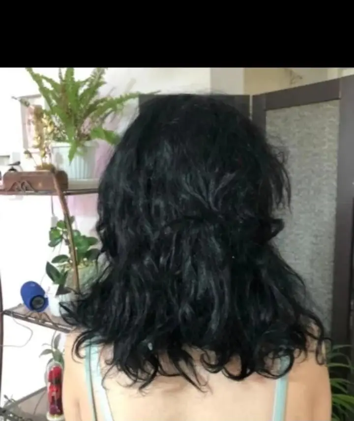نمونه کار مدل موی فر و مجعد مشکی زنانه از پشت سر در سالن زیبایی همراه با دکوراسیون شیک گیاهان طبیعی آپارتمانی