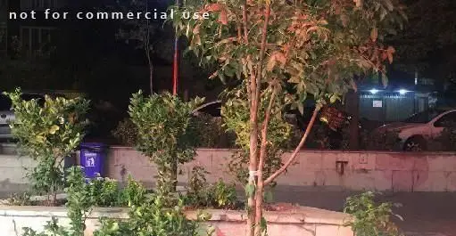 تصویری از فضای بیرونی کباب خانه دورچین در شب، نمایانگر محیط آرام و دلنشین این رستوران برای مشتریان عزیز.