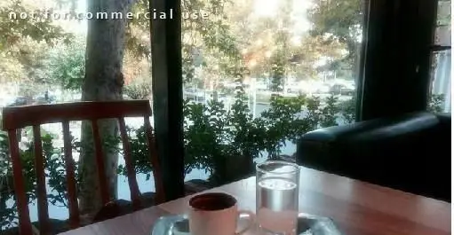 محیط داخلی دلنشین و روشن رستوران فرنگی سبوس، با میز، صندلی چوبی و کاناپه، قهوه و آب، و منظره زیبای فضای سبز از پنجره.