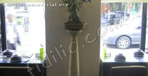 فضای داخلی مدرن رستوران تیلیت با میزهای چیده شده، گلدان بونسای مرکزی و چشم‌انداز شهری از پنجره‌های بزرگ، آماده پذیرایی از مشتریان.