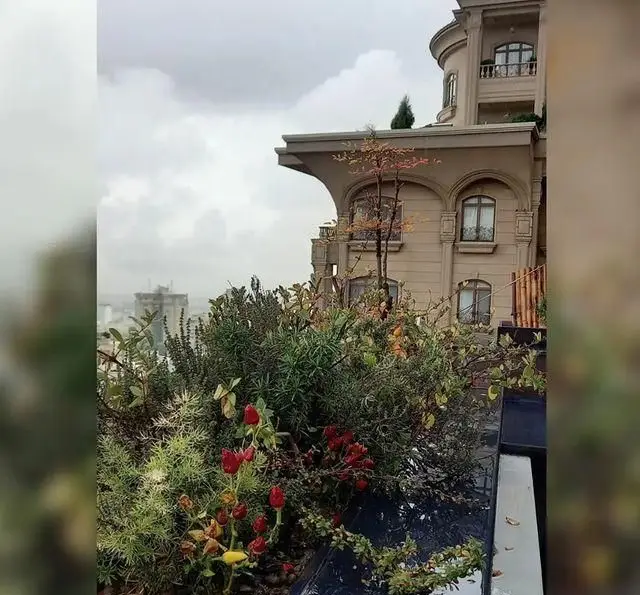 منظره روف گاردن رستوران 10forever با گل‌های قرمز و گیاهان سرسبز، محیطی دلنشین با چشم‌انداز شهری زیر آسمان ابری.